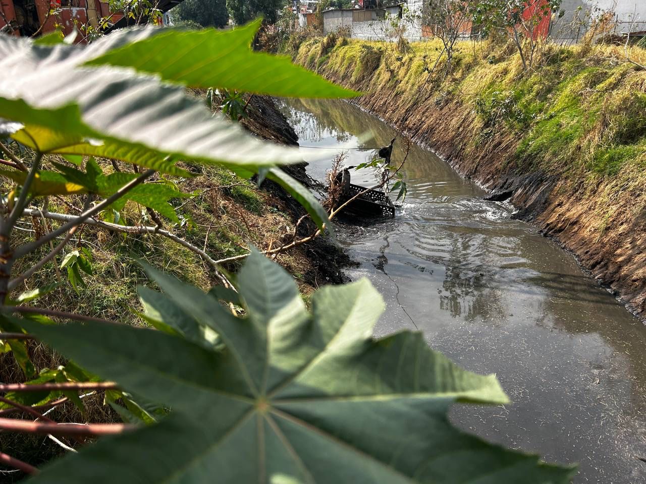 Tirar basura sale caro: van 10 infractores multados en Morelia