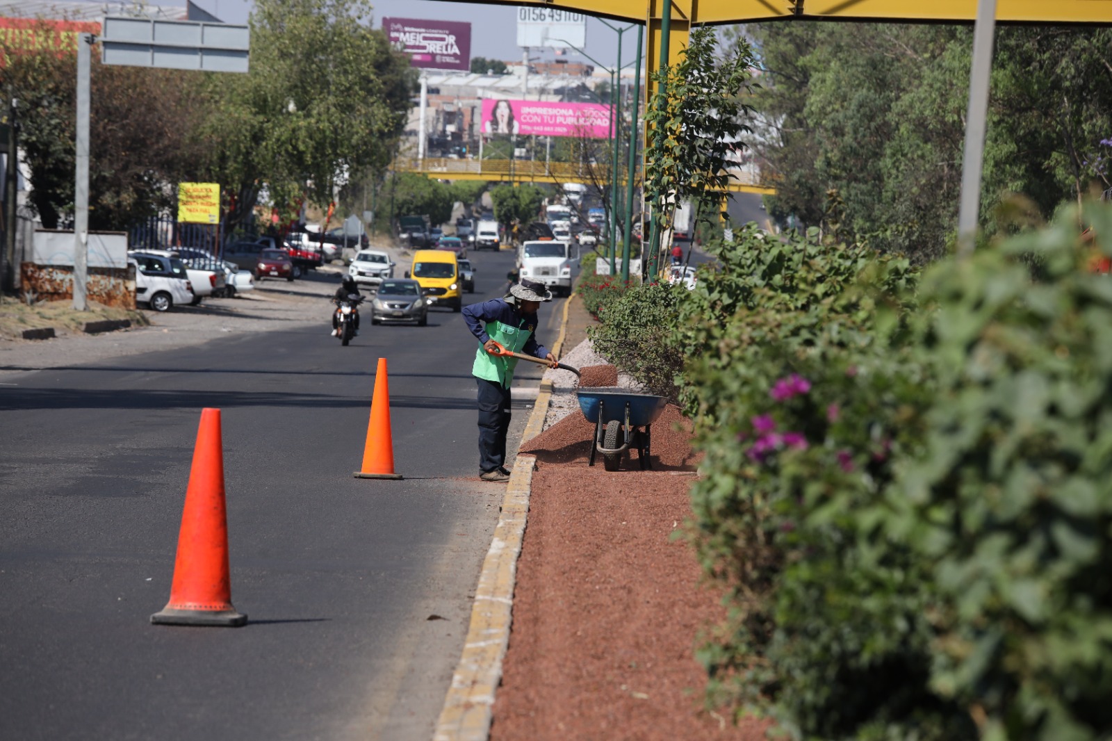 Gobierno de Morelia sigue embelleciendo las áreas verdes de la ciudad