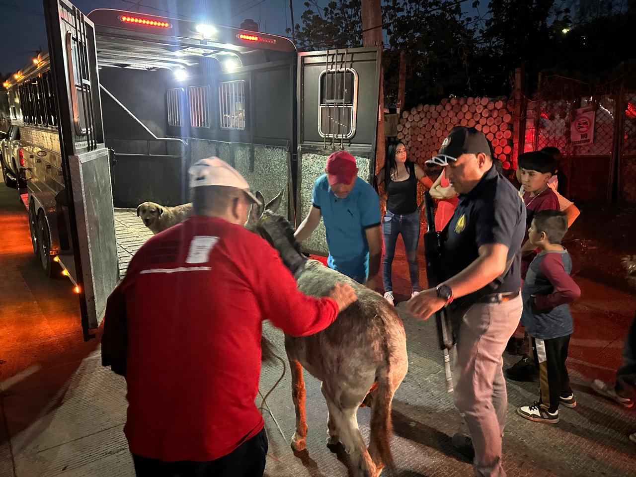 Fue vinculado a proceso el agresor de burro en Jesús del Monte