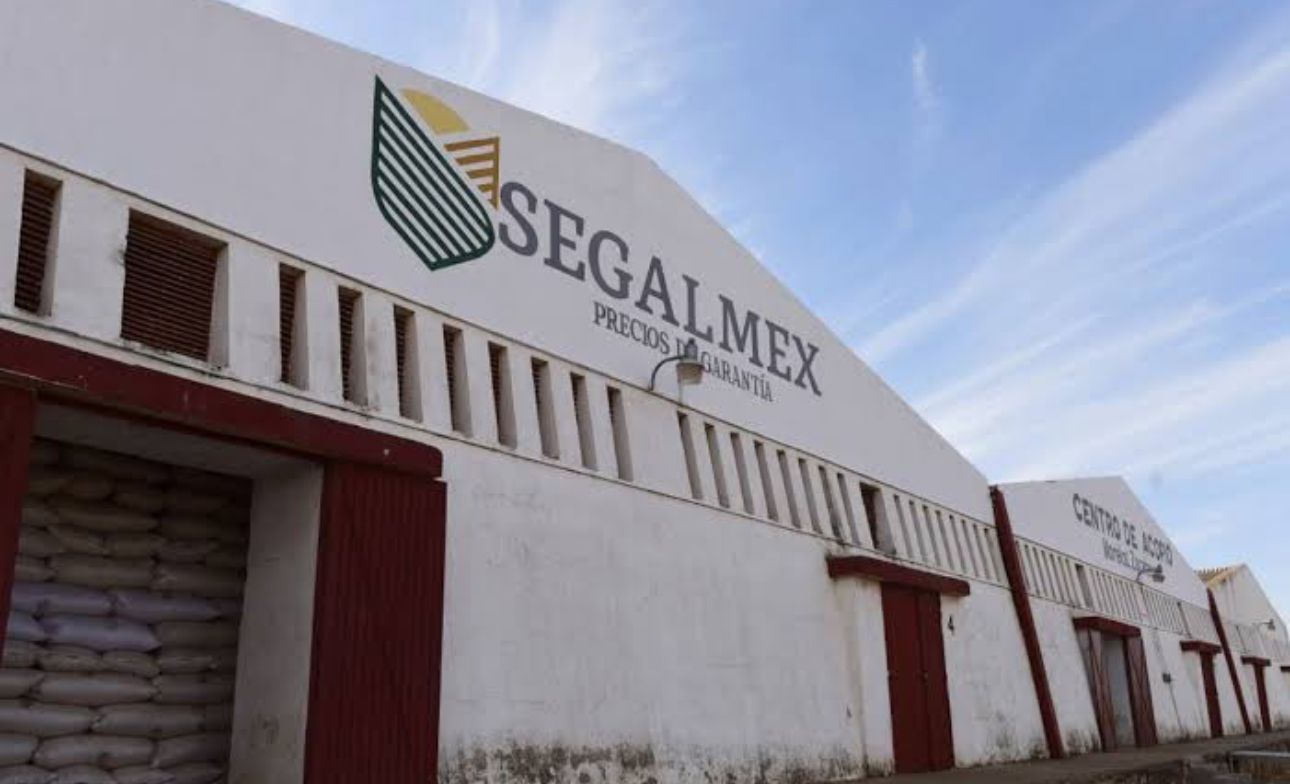 Roban 250 toneladas de maiz del almacén