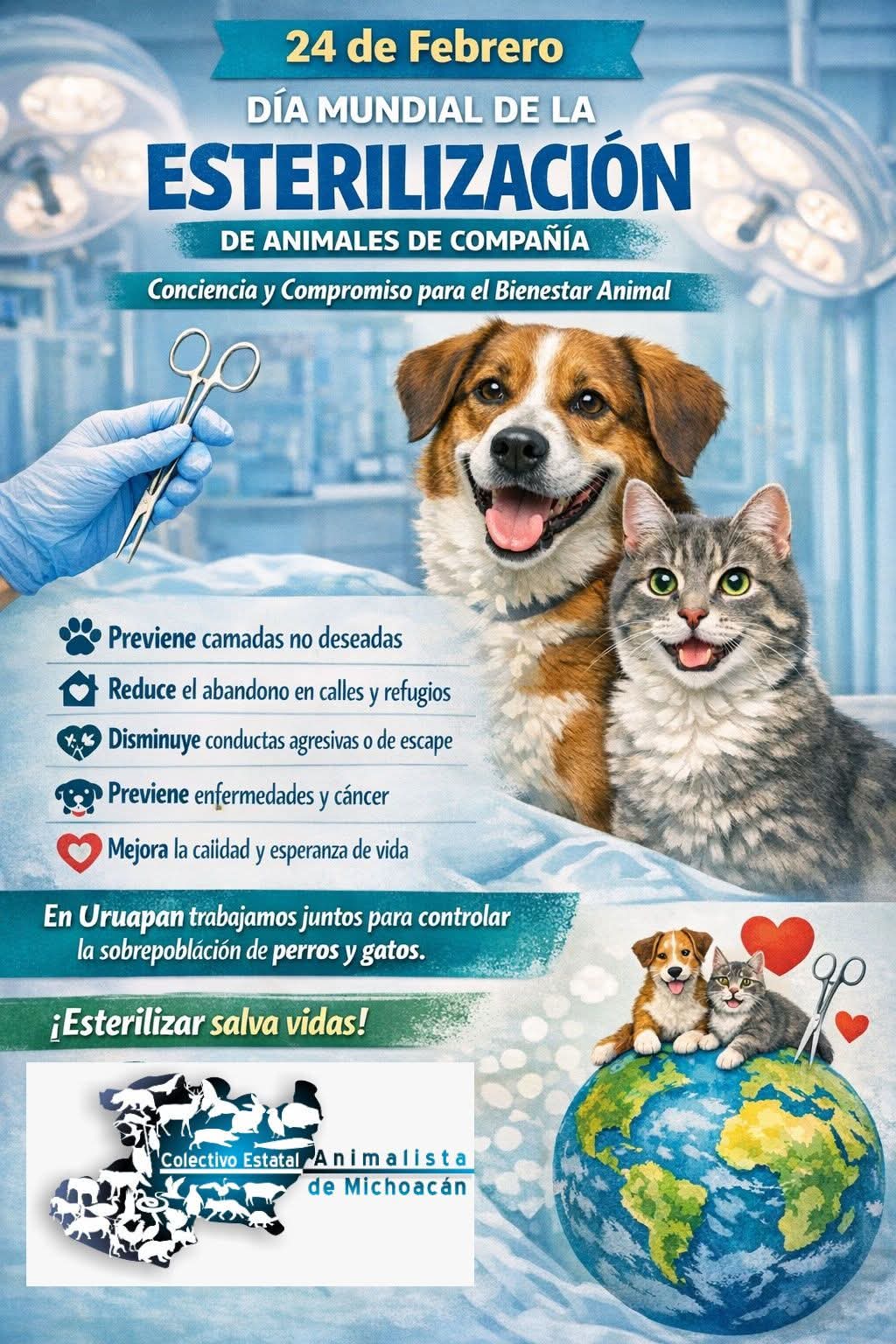 🐕🐕‍🦺En Michoacán se practican 30 mil esterilizaciones de animales de compañía al año: UARUPA🐕‍🦺🐕