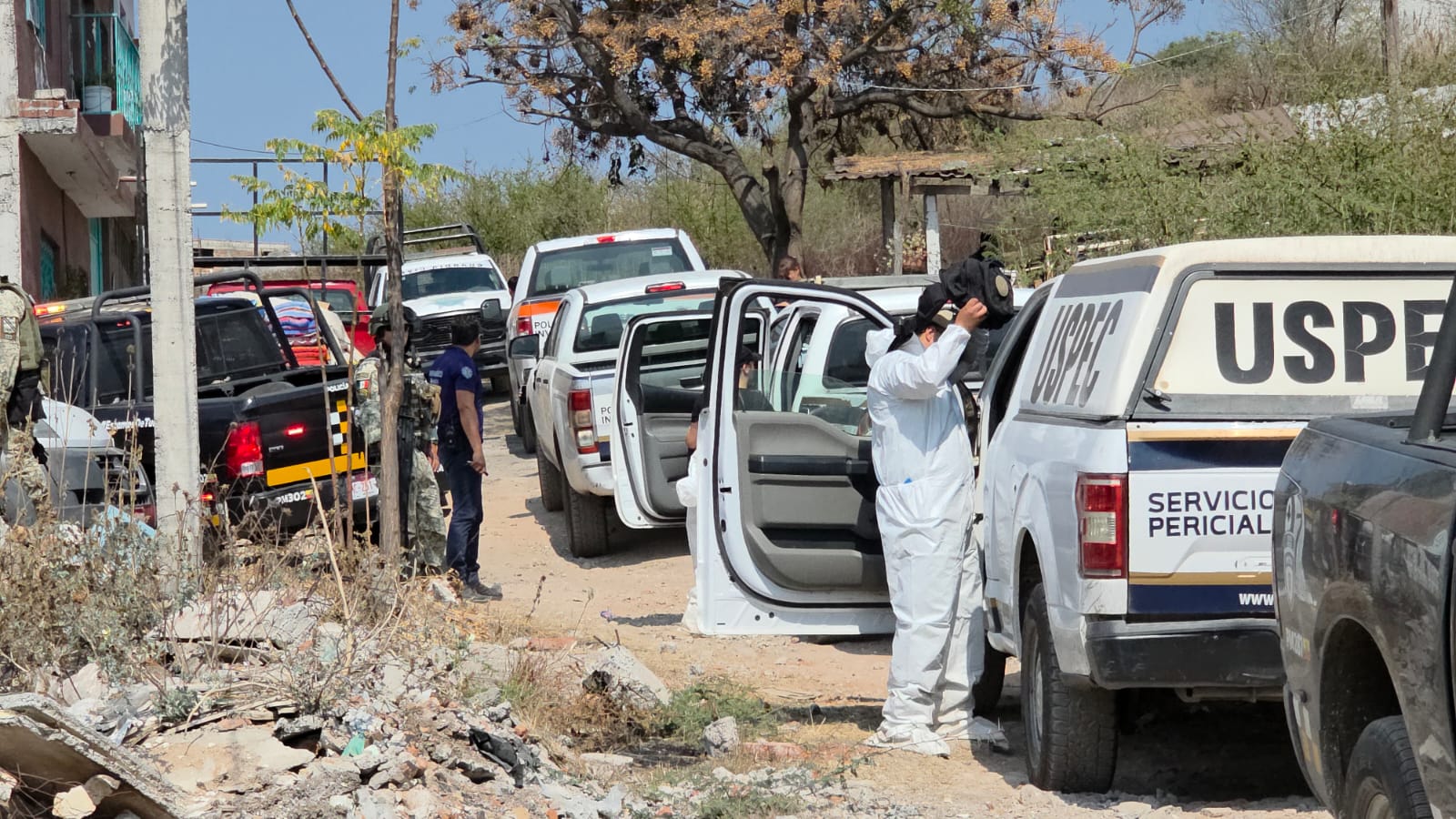 Fauna feral ataca mujer en la Tres de Agosto