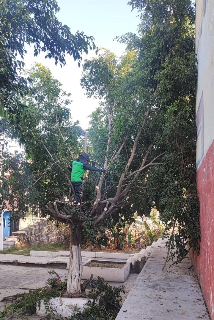 Gobierno de Morelia embellece espacios públicos con atención a sus áreas verdes