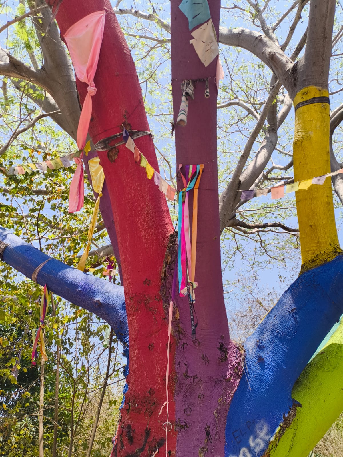 El Árbol de los Deseos, un sitio de ritual y esperanza en la costa michoacana