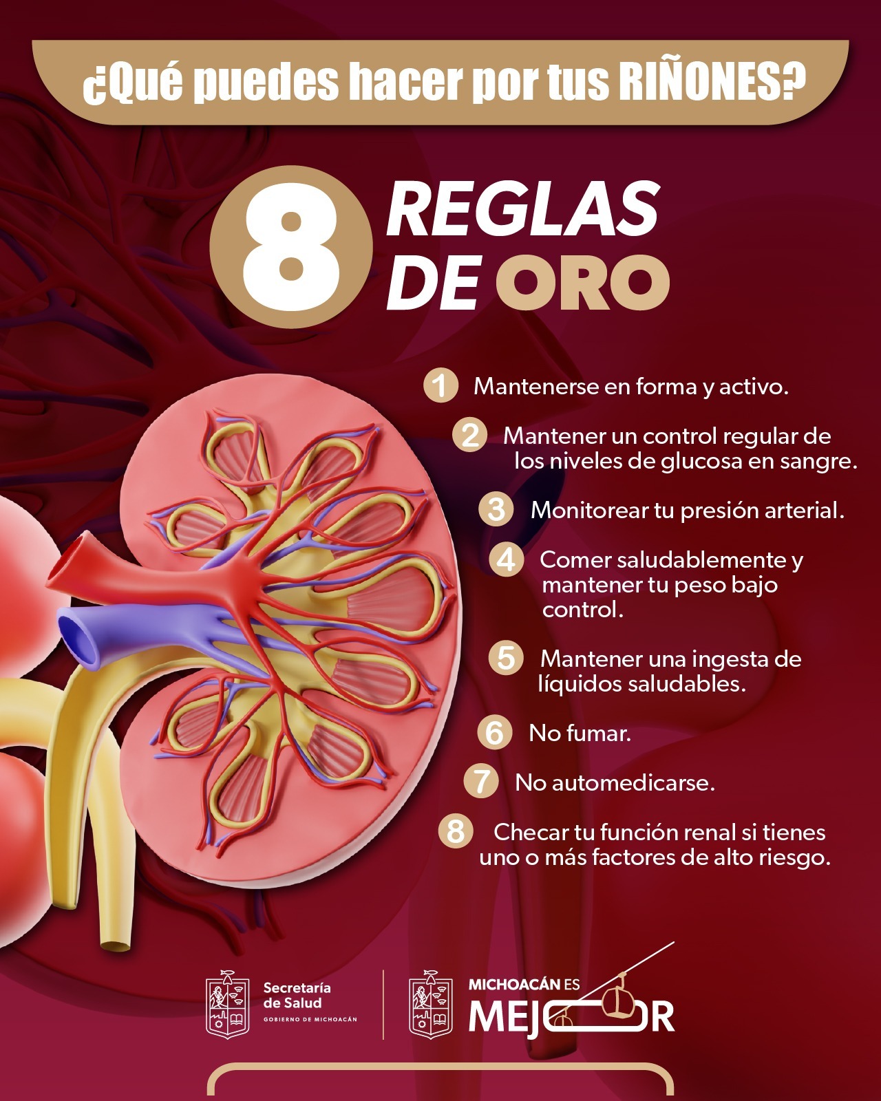 Diabetes, hipertensión y obesidad son las principales causas de daño renal