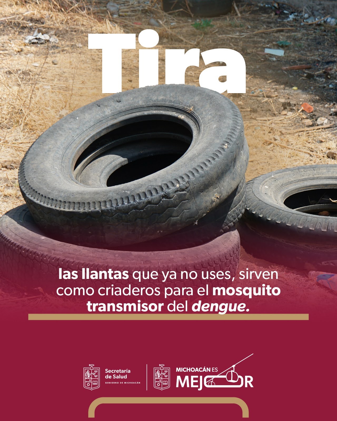 Fumigación no es suficiente contra el dengue