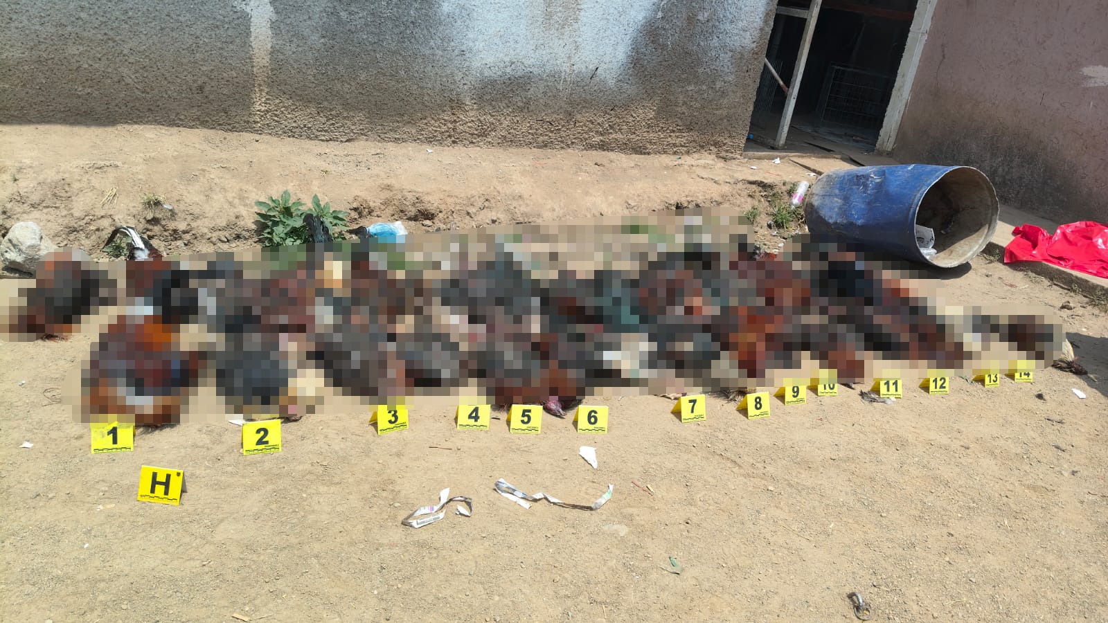 Aseguran 29 gallos vivos tras operativo en palenque clandestino en Morelia