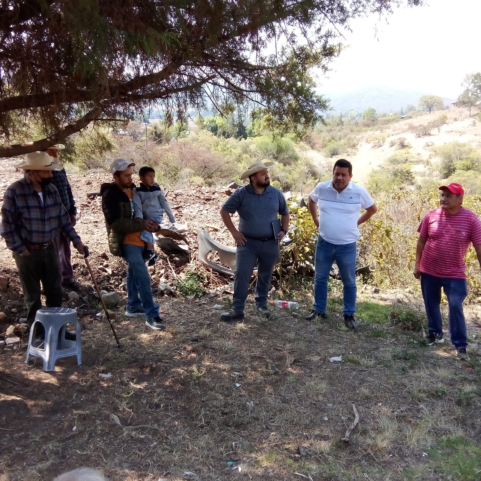 Confirman tres casos de gusano barrenador en Morelia; activan cerco sanitario en Tiripetío y Chiquimitío