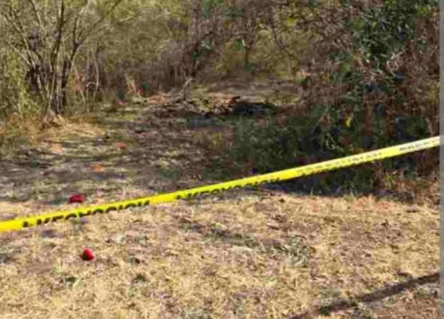 Campesino resulta herido por narcomina