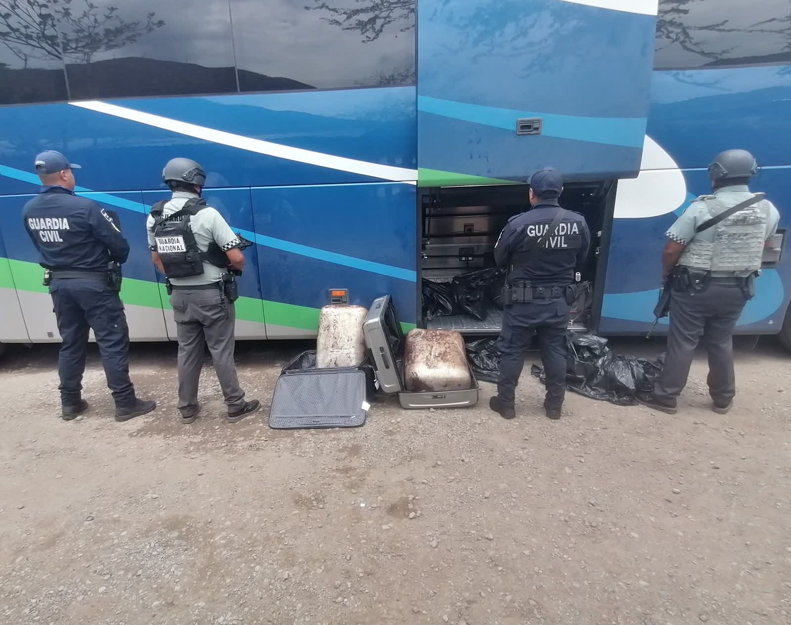 🚨 Aseguran más de 33 kilos de marihuana en la Siglo XXI; hay un detenido