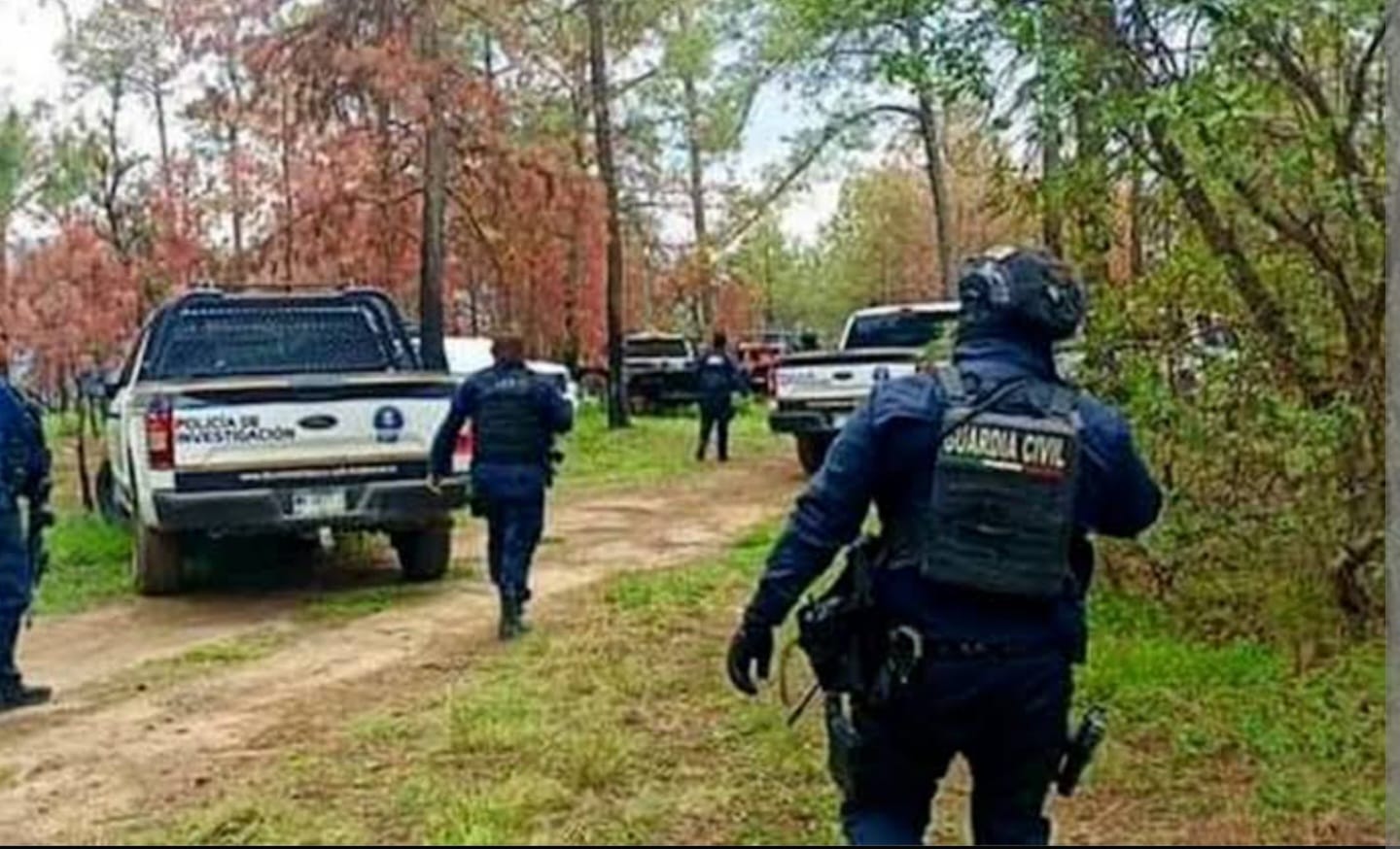 💀 Encuentran osamenta humana en predio de Tiripetío
