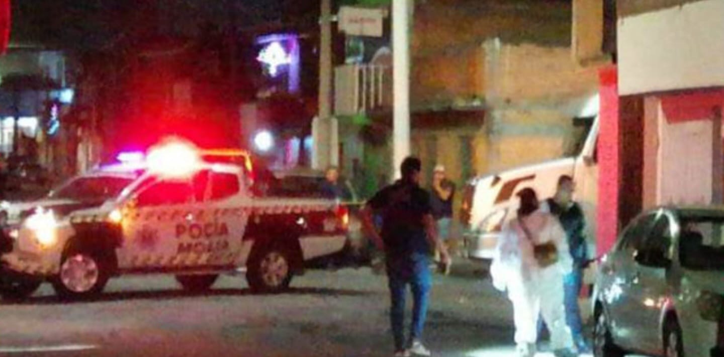 🐕💥 Balas dirigidas a una casa matan a un perro en Morelia