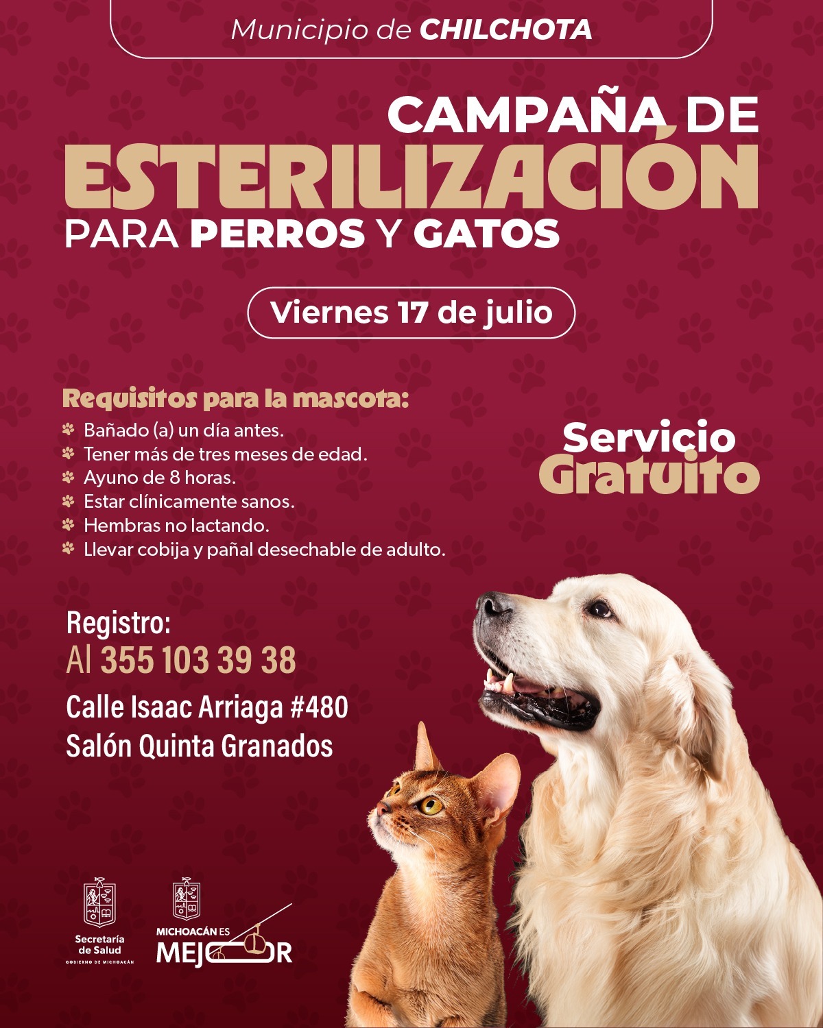 Jornada gratuita de esterilización felina y canina en Chilchota