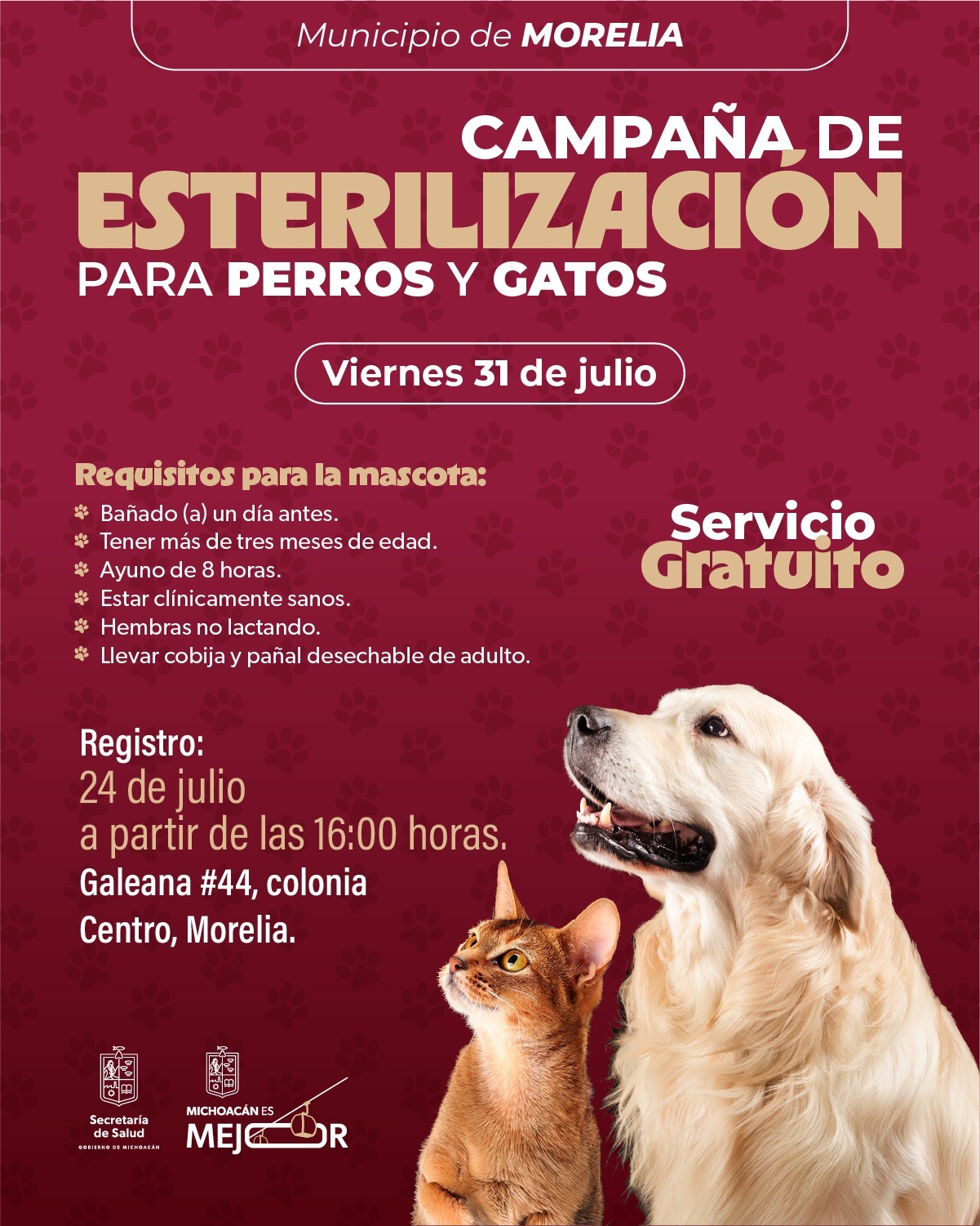 Registro abierto para jornada gratuita de esterilización canina y felina en Morelia
