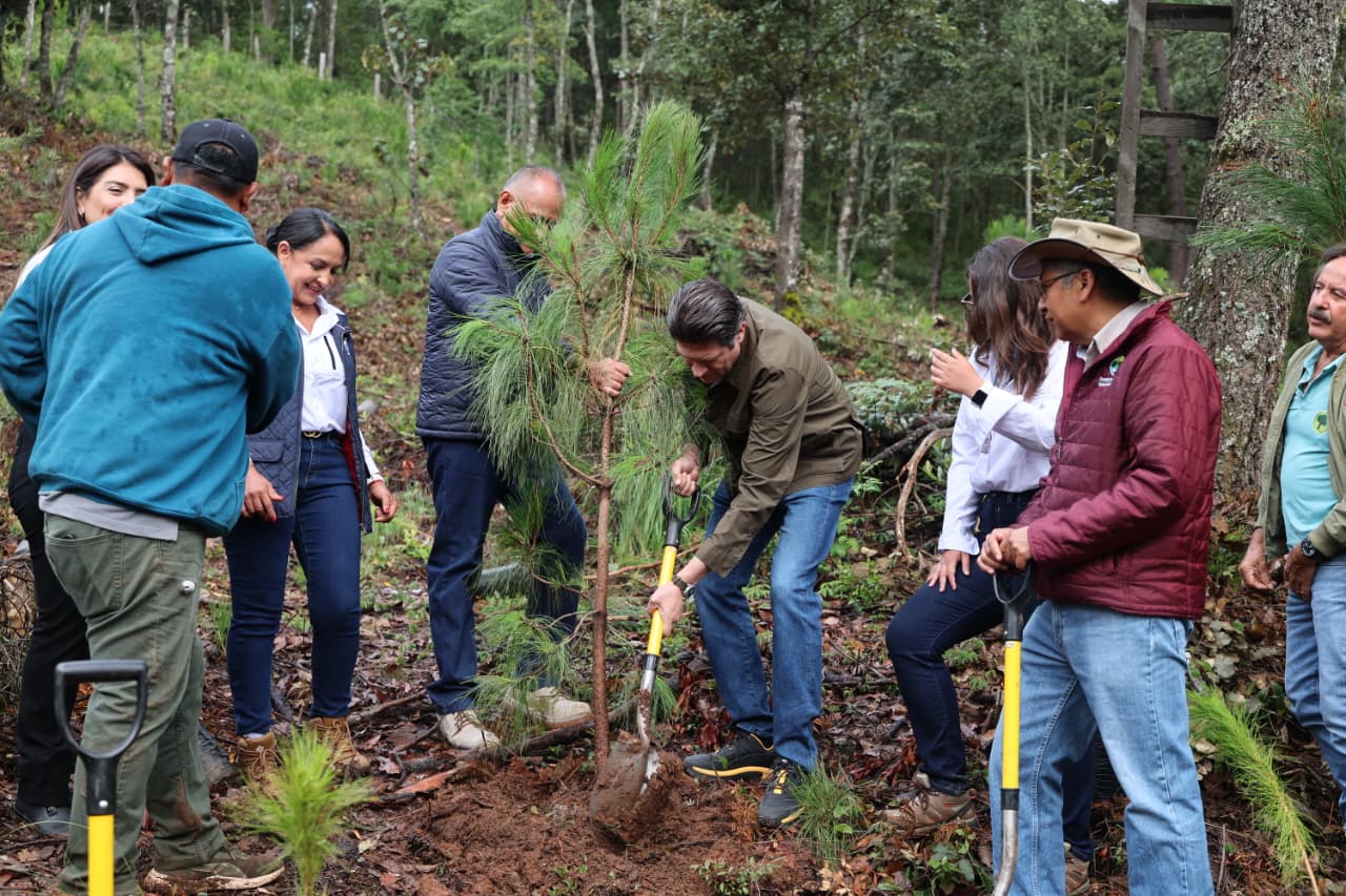 Alfonso Martínez consolida liderazgo ambiental de Morelia con nombramiento de Ciudad Árbol