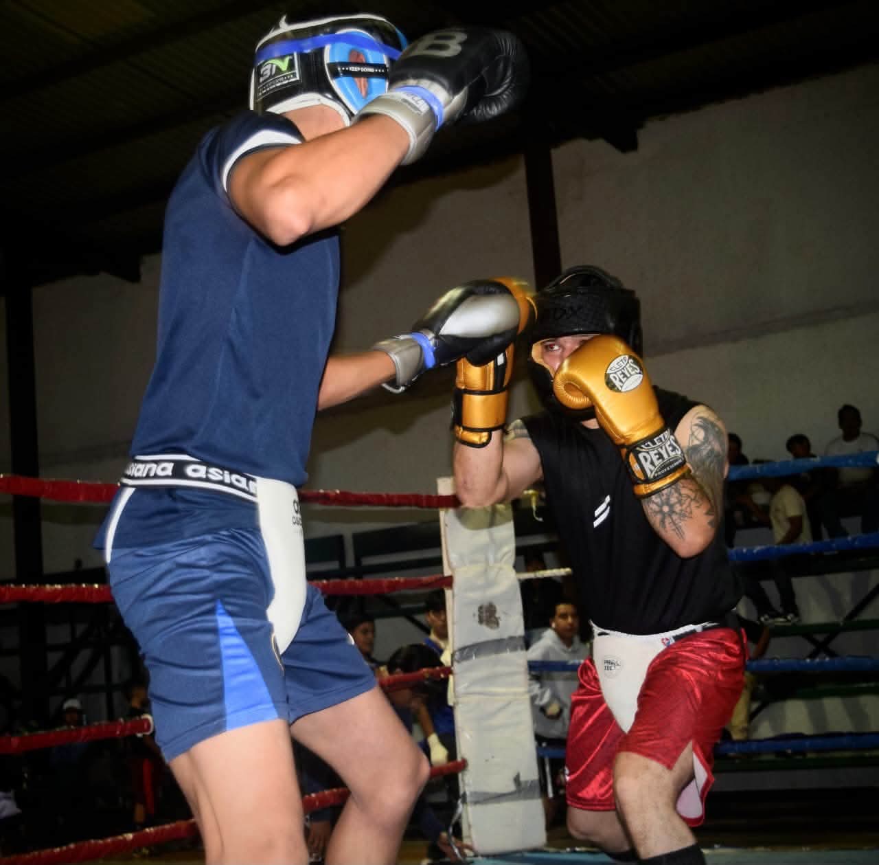El Imcufide anuncia cartelera para función de boxeo The Fight Night