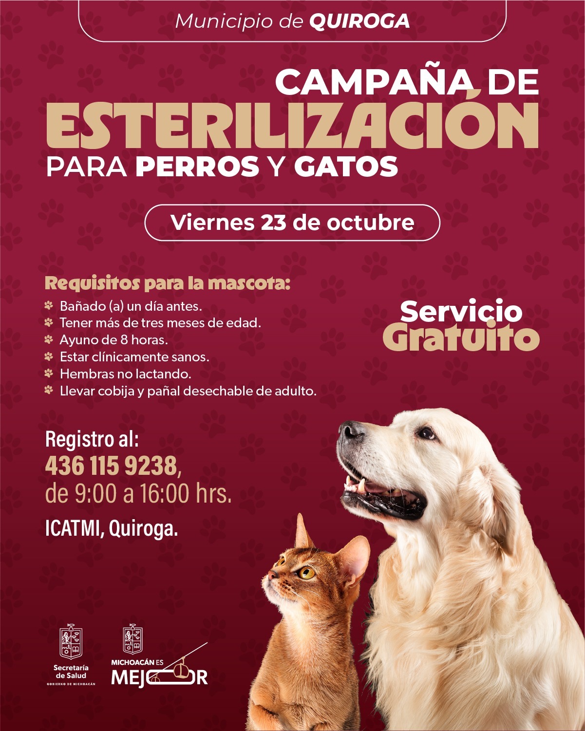Jornada gratuita de esterilización canina y felina en Quiroga