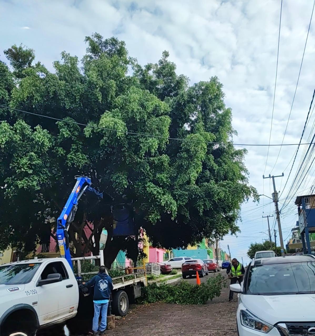 Gobierno de Morelia trabaja en el cuidado de áreas verdes y espacios públicos