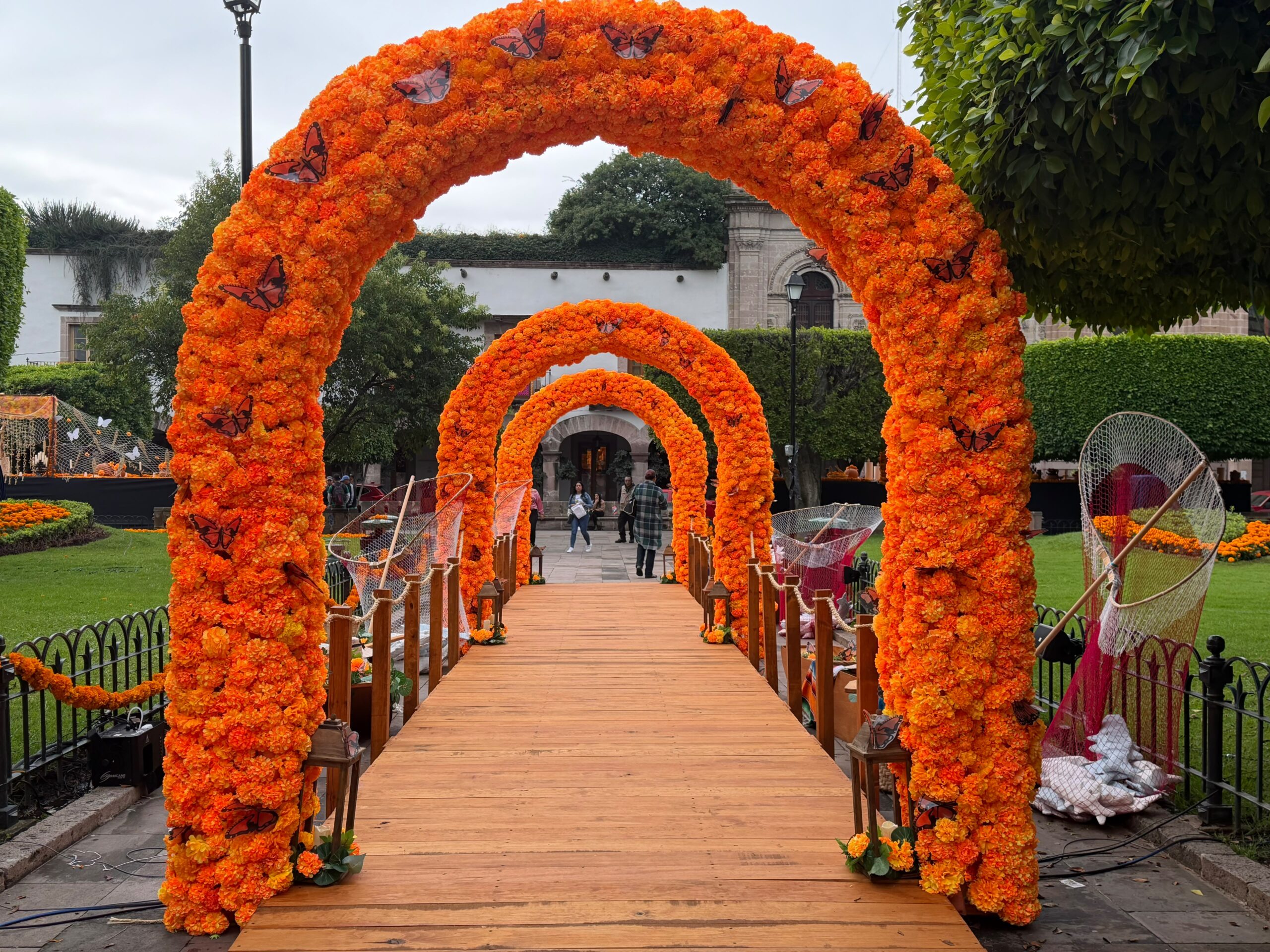Flor de cempasúchil, la protagonista que adorna plazas para la temporada de muertos